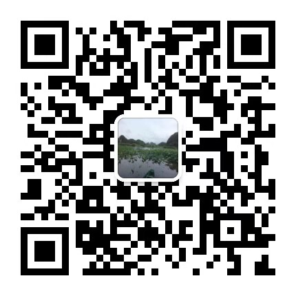 the qr code